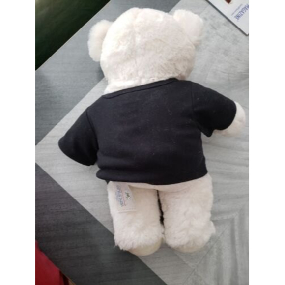 Build a Bear plush With solar System Clothing - Picture 3 of 5